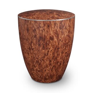 Urne Genesis Premium Wurzelpadouk mit Dekorring Silber 3mm