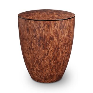 Urne Genesis Premium Wurzelpadouk mit Dekorring Schwarz 3mm