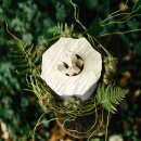 Urne Bl&uuml;te der Erinnerung Silber mit geschnitzter Bl&uuml;te Ahorn