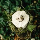 Urne Bl&uuml;te der Erinnerung Wei&szlig; mit geschnitzter Bl&uuml;te Ahorn