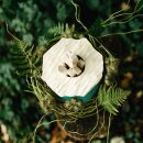 Urne Bl&uuml;te der Erinnerung Jade mit geschnitzter Bl&uuml;te Ahorn