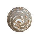 Urne Genesis Lebensspirale Natur