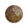 Urne Genesis Universum Achat