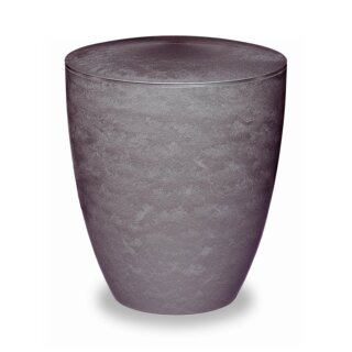 Urne Genesis Silber mit Dekorring Silber 3mm